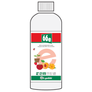 66e